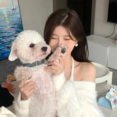 装饰之日
